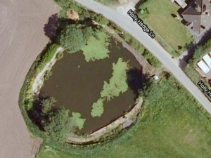 Holly Hedge Pool
