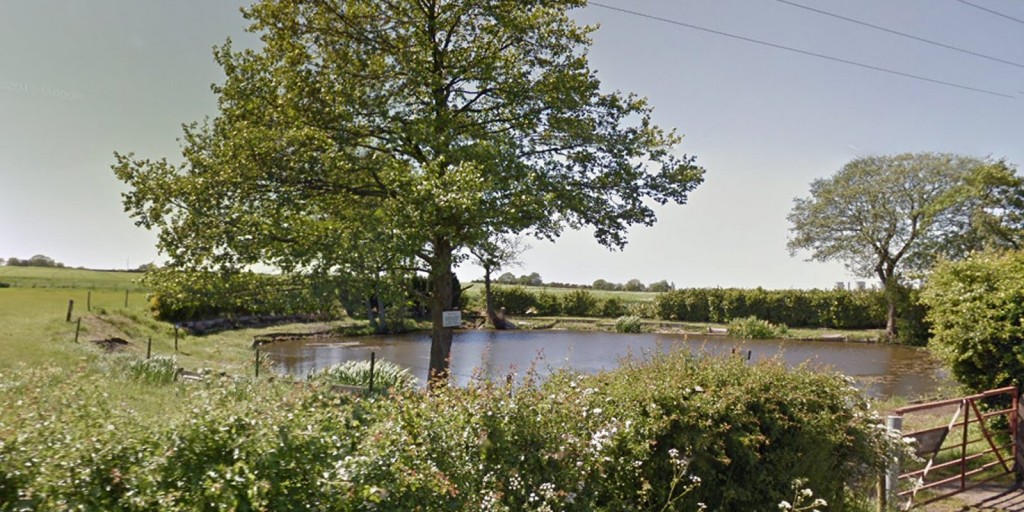 Holly Hedge Pool